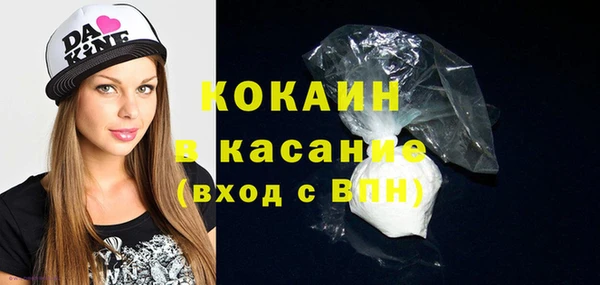 прущие грибы Богородицк