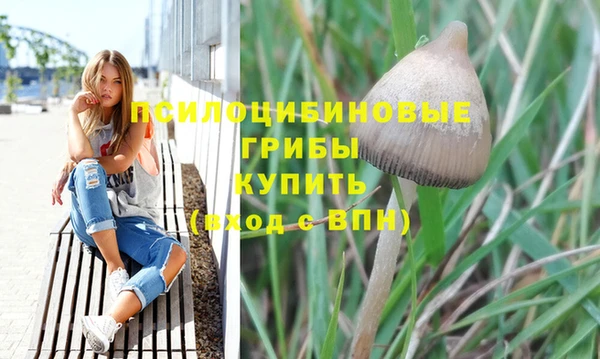 ALPHA PVP Богородск