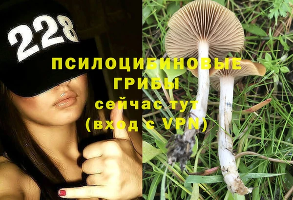 гашик Белокуриха
