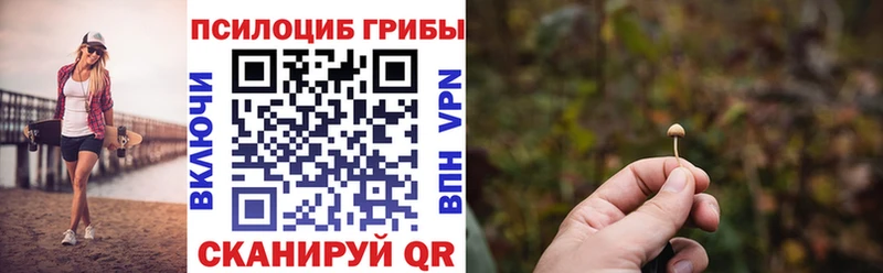 Галлюциногенные грибы Psilocybe  Дмитриев 